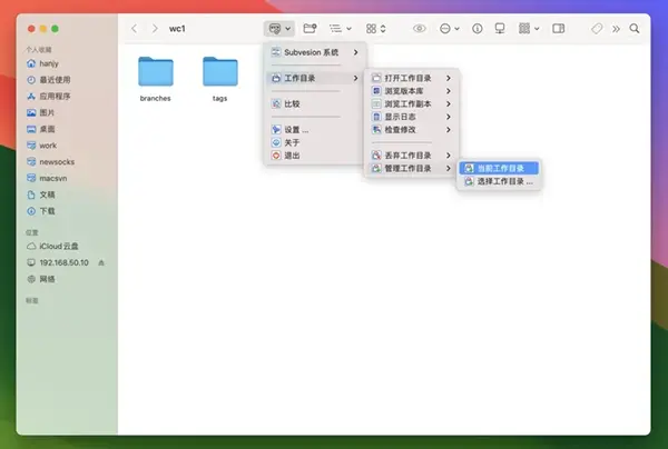 macSvn 的 “管理工作副本” 菜单